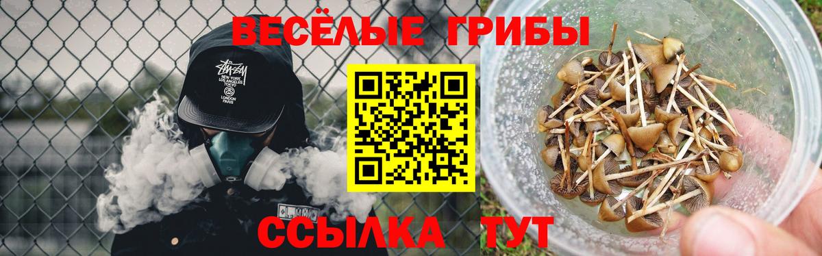Псилоцибиновые грибы ЛСД Гурьевск